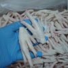 CHICKEN PARTS - Image 11