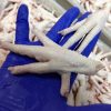 CHICKEN PARTS - Image 14