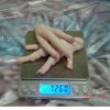 CHICKEN PARTS - Image 17
