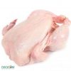 CHICKEN PARTS