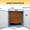 Automatic Egg Incubator - Image 8