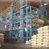 Thai brown Rice - Image 6